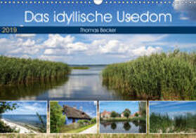 Becker |  Das idyllische Usedom (Wandkalender 2019 DIN A3 quer) | Sonstiges |  Sack Fachmedien