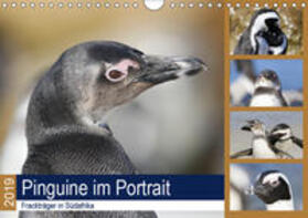 und Yvonne Herzog |  Pinguine im Portrait - Frackträger in Südafrika (Wandkalender 2019 DIN A4 quer) | Sonstiges |  Sack Fachmedien