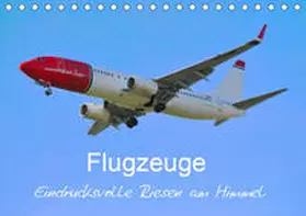 Merz |  Flugzeuge - Eindrucksvolle Riesen am Himmel (Tischkalender 2019 DIN A5 quer) | Sonstiges |  Sack Fachmedien