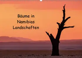 Berger |  Bäume in Namibias Landschaften (Wandkalender 2019 DIN A2 quer) | Sonstiges |  Sack Fachmedien