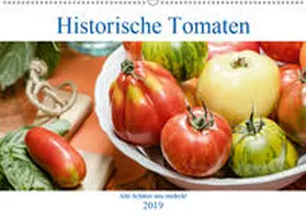 Meyer |  Historische Tomaten - Alte Schätze neu entdeckt (Wandkalender 2019 DIN A2 quer) | Sonstiges |  Sack Fachmedien