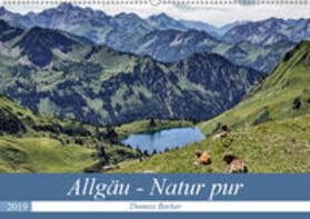 Becker |  Allgäu - Natur pur (Wandkalender 2019 DIN A2 quer) | Sonstiges |  Sack Fachmedien