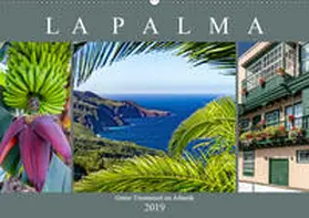 Meyer |  La Palma - Grüne Trauminsel im Atlantik (Wandkalender 2019 DIN A2 quer) | Sonstiges |  Sack Fachmedien