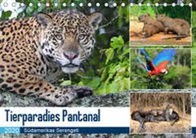 und Yvonne Herzog |  Tierparadies Pantanal (Tischkalender 2020 DIN A5 quer) | Sonstiges |  Sack Fachmedien