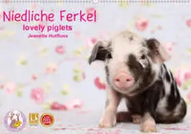 Hutfluss |  Niedliche Ferkel lovely piglets 2020 (Wandkalender 2020 DIN A2 quer) | Sonstiges |  Sack Fachmedien