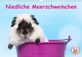 Hutfluss |  Niedliche Meerschweinchen (Wandkalender 2020 DIN A3 quer) | Sonstiges |  Sack Fachmedien