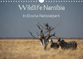 Müller |  Wildlife Namibia (Wandkalender 2020 DIN A4 quer) | Sonstiges |  Sack Fachmedien