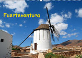 Schneider |  Fuerteventura (Wandkalender 2020 DIN A2 quer) | Sonstiges |  Sack Fachmedien