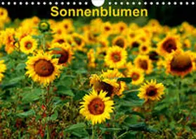 Schulz |  Sonnenblumen (Wandkalender 2020 DIN A4 quer) | Sonstiges |  Sack Fachmedien