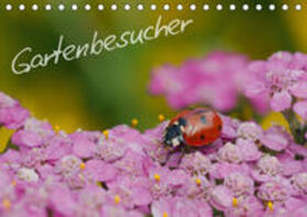Müller |  Gartenbesucher (Tischkalender 2020 DIN A5 quer) | Sonstiges |  Sack Fachmedien
