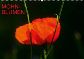 Jäger |  Mohnblumen (Wandkalender 2020 DIN A2 quer) | Sonstiges |  Sack Fachmedien