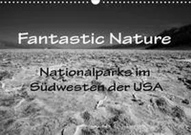 Müller |  Fantastic Nature - Nationalparks im Südwesten der USA (Wandkalender 2020 DIN A3 quer) | Sonstiges |  Sack Fachmedien