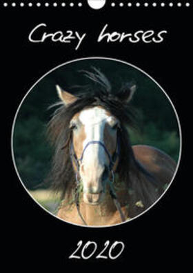 Lampert |  Crazy horses (Wandkalender 2020 DIN A4 hoch) | Sonstiges |  Sack Fachmedien