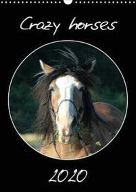 Lampert |  Crazy horses (Wandkalender 2020 DIN A3 hoch) | Sonstiges |  Sack Fachmedien
