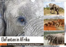 Herzog |  Elefanten in Afrika (Wandkalender 2020 DIN A4 quer) | Sonstiges |  Sack Fachmedien