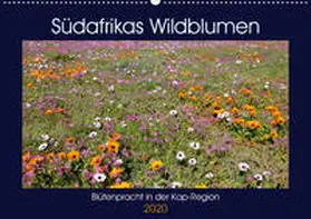 Herzog |  Südafrikas Wildblumen - Blütenpracht in der Kap-Region (Wandkalender 2020 DIN A2 quer) | Sonstiges |  Sack Fachmedien