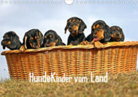 Müller |  Hundekinder vom Land (Wandkalender 2020 DIN A4 quer) | Sonstiges |  Sack Fachmedien