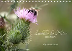 Fuchs | Zierbilder der Natur BLUMEN (Tischkalender 2020 DIN A5 quer) | Sonstiges | 978-3-670-70601-4 | sack.de