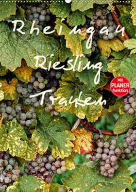 Meyer |  Rheingau - Riesling Trauben (Wandkalender 2020 DIN A2 hoch) | Sonstiges |  Sack Fachmedien