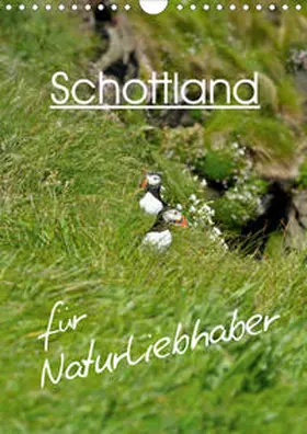 Schäfer |  Schottland für Naturliebhaber (Wandkalender 2020 DIN A4 hoch) | Sonstiges |  Sack Fachmedien