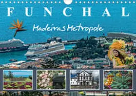 Meyer |  Funchal Madeiras Metropole (Wandkalender 2020 DIN A4 quer) | Sonstiges |  Sack Fachmedien