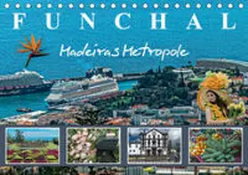 Meyer |  Funchal Madeiras Metropole (Tischkalender 2020 DIN A5 quer) | Sonstiges |  Sack Fachmedien