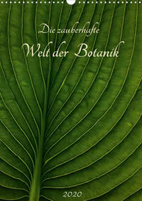 Pohl |  Die zauberhafte Welt der Botanik (Wandkalender 2020 DIN A3 hoch) | Sonstiges |  Sack Fachmedien