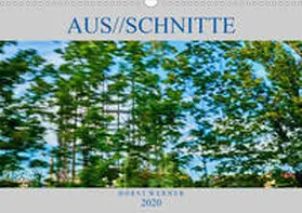 Werner |  Aus//schnitte (Wandkalender 2020 DIN A3 quer) | Sonstiges |  Sack Fachmedien