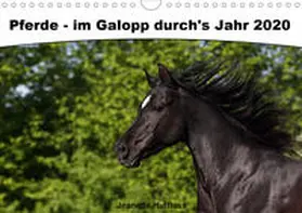 Hutfluss |  Pferde - im Galopp durch's Jahr 2020 (Wandkalender 2020 DIN A4 quer) | Sonstiges |  Sack Fachmedien