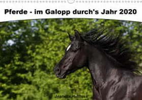 Hutfluss |  Pferde - im Galopp durch's Jahr 2020 (Wandkalender 2020 DIN A3 quer) | Sonstiges |  Sack Fachmedien