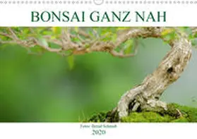 Schmidt |  Bonsai ganz nah (Wandkalender 2020 DIN A3 quer) | Sonstiges |  Sack Fachmedien