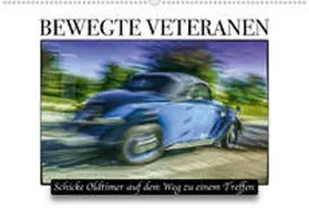 Töpfer | Bewegte Veteranen (Wandkalender 2020 DIN A2 quer) | Sonstiges | 978-3-670-99379-7 | sack.de