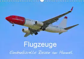 Merz |  Flugzeuge - Eindrucksvolle Riesen am Himmel (Wandkalender 2020 DIN A3 quer) | Sonstiges |  Sack Fachmedien