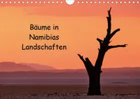 Berger |  Bäume in Namibias Landschaften (Wandkalender 2020 DIN A4 quer) | Sonstiges |  Sack Fachmedien