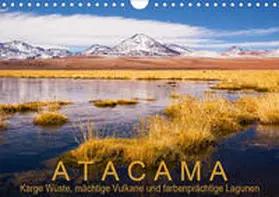 Aust | Atacama: Karge Wüste, mächtige Vulkane und farbenprächtige Lagunen (Wandkalender 2020 DIN A4 quer) | Sonstiges | 978-3-671-00543-7 | sack.de