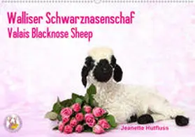 Hutfluss |  Walliser Schwarznasenschaf Valais Blacknose Sheep (Wandkalender 2020 DIN A2 quer) | Sonstiges |  Sack Fachmedien