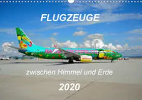 Merz |  Flugzeuge zwischen Himmel und Erde (Wandkalender 2020 DIN A3 quer) | Sonstiges |  Sack Fachmedien