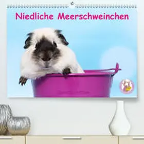 Hutfluss |  Niedliche Meerschweinchen(Premium, hochwertiger DIN A2 Wandkalender 2020, Kunstdruck in Hochglanz) | Sonstiges |  Sack Fachmedien