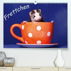 Hutfluss |  Frettchen - Ferrets(Premium, hochwertiger DIN A2 Wandkalender 2020, Kunstdruck in Hochglanz) | Sonstiges |  Sack Fachmedien