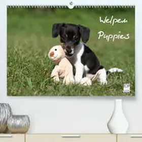 Hutfluss |  Welpen - Puppies(Premium, hochwertiger DIN A2 Wandkalender 2020, Kunstdruck in Hochglanz) | Sonstiges |  Sack Fachmedien