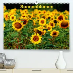 Schulz |  Sonnenblumen(Premium, hochwertiger DIN A2 Wandkalender 2020, Kunstdruck in Hochglanz) | Sonstiges |  Sack Fachmedien