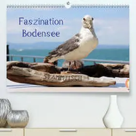 Raab | Faszination Bodensee(Premium, hochwertiger DIN A2 Wandkalender 2020, Kunstdruck in Hochglanz) | Sonstiges | 978-3-671-26505-3 | sack.de