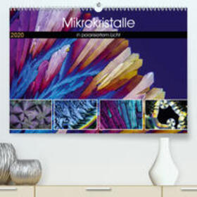 Becker |  Mikrokristalle in polarisiertem Licht(Premium, hochwertiger DIN A2 Wandkalender 2020, Kunstdruck in Hochglanz) | Sonstiges |  Sack Fachmedien
