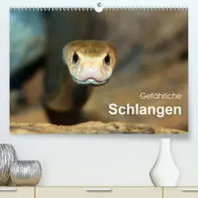 Herzog |  Gefährliche Schlangen(Premium, hochwertiger DIN A2 Wandkalender 2020, Kunstdruck in Hochglanz) | Sonstiges |  Sack Fachmedien