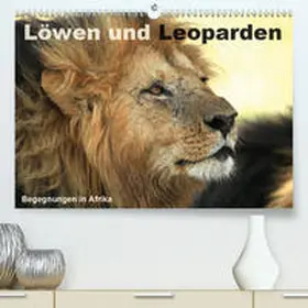 Herzog |  Löwen und Leoparden - Begegnungen in Afrika(Premium, hochwertiger DIN A2 Wandkalender 2020, Kunstdruck in Hochglanz) | Sonstiges |  Sack Fachmedien