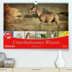 Hultsch |  Unterhaltsames Wissen(Premium, hochwertiger DIN A2 Wandkalender 2020, Kunstdruck in Hochglanz) | Sonstiges |  Sack Fachmedien