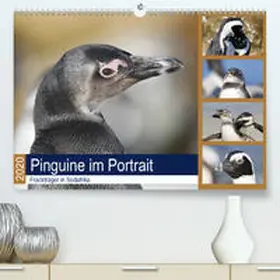 und Yvonne Herzog |  Pinguine im Portrait - Frackträger in Südafrika(Premium, hochwertiger DIN A2 Wandkalender 2020, Kunstdruck in Hochglanz) | Sonstiges |  Sack Fachmedien