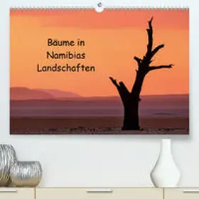 Berger |  Bäume in Namibias Landschaften(Premium, hochwertiger DIN A2 Wandkalender 2020, Kunstdruck in Hochglanz) | Sonstiges |  Sack Fachmedien