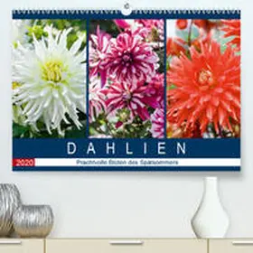 Meyer |  Dahlien - Prachtvolle Blüten des Spätsommers(Premium, hochwertiger DIN A2 Wandkalender 2020, Kunstdruck in Hochglanz) | Sonstiges |  Sack Fachmedien