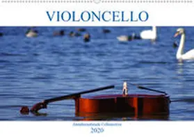 Hoffmann |  VIOLONCELLO - atemberaubende Cellomotive (Wandkalender 2020 DIN A2 quer) | Sonstiges |  Sack Fachmedien